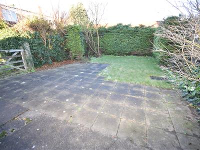 Picture 12